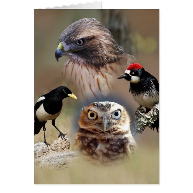 Bird Watcher Collage Cards (Front)