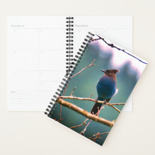 Bird Watchers Planner