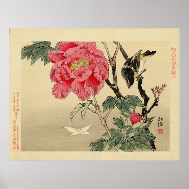 Bird watching a butterfly poster (Front)