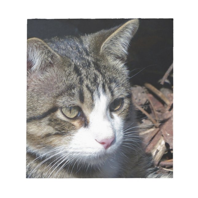 Bird Watching Notepad (Front)