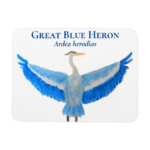 Bird Watercolor Scientific Great Blue Heron Magnet