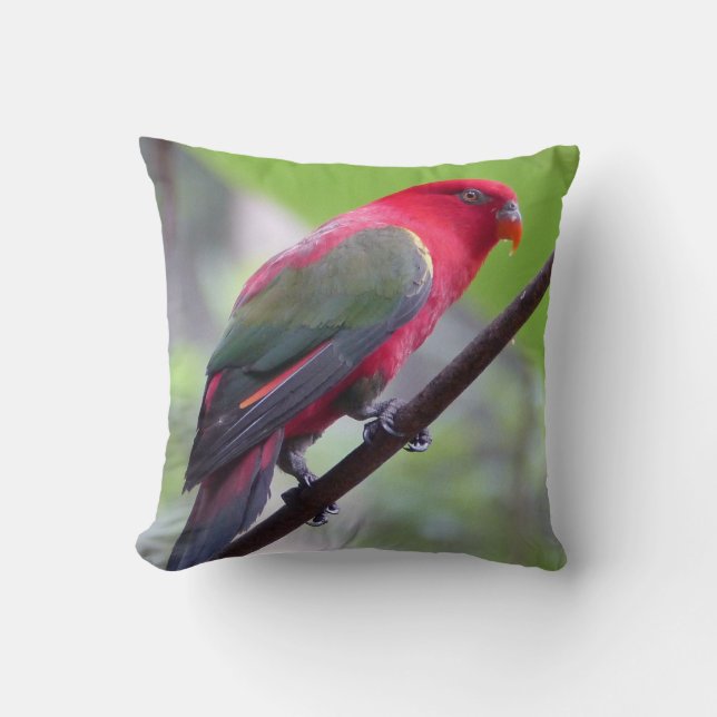 Bird Wings Branches Spring Garden Faith Cushion (Front)