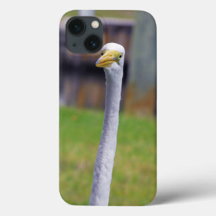 Bird with Long Neck iPhone 13 Case