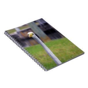 Bird with Long Neck Notebook
