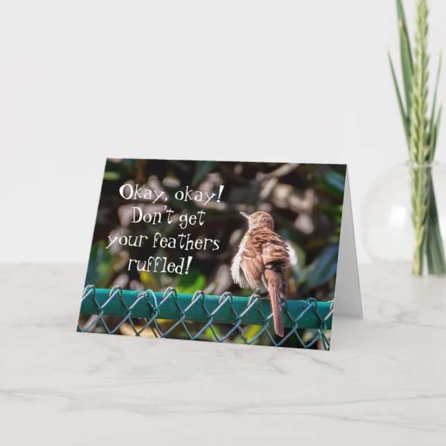 Bird With Ruffled Feathers Card (Front)