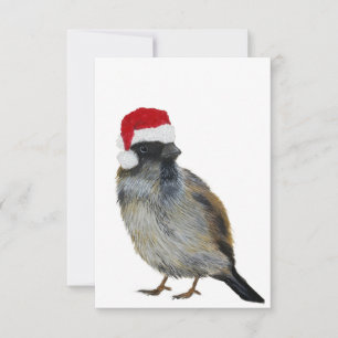 Bird with Santa hat Holiday Flat Card