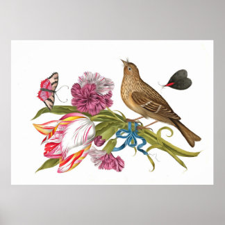 Bird with Tulip Carnations And Butterflies Acrylic Poster