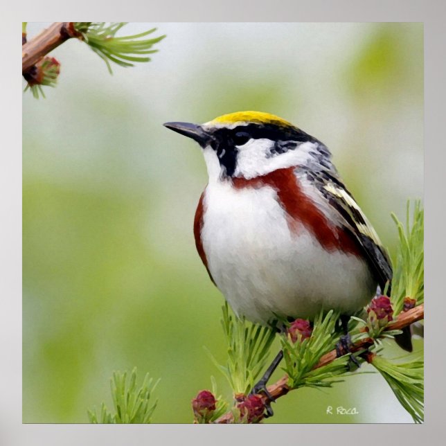 Bird yellow poster (Front)