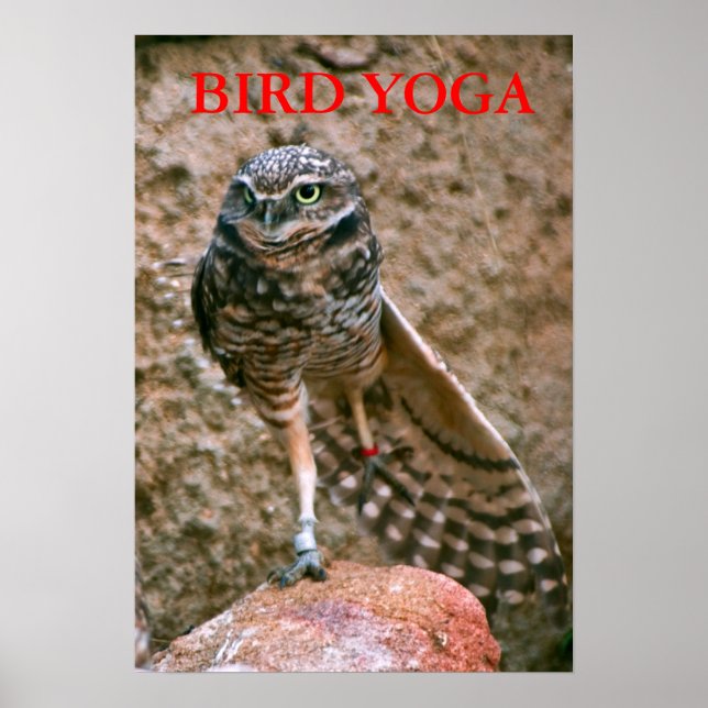 , BIRD YOGA POSTER (Front)