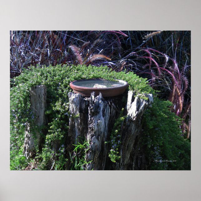 Birdbath on Tree Stump Poster (Front)