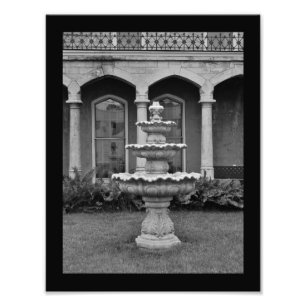 Birdbath Photo Print