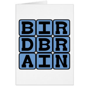 Birdbrain, Bird Watcher