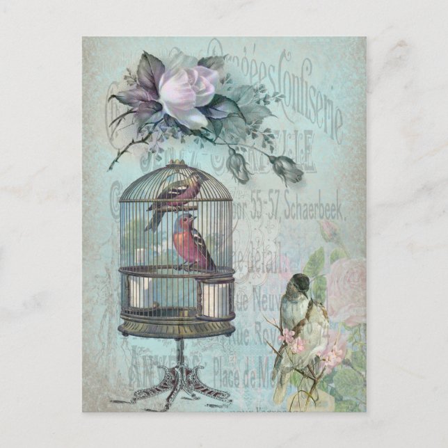 Birdcage Blossom Postcard (Front)