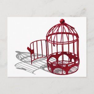 BirdHouse092110 Postcard