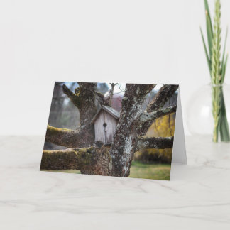 Birdhouse 4219 Framable greetibg card