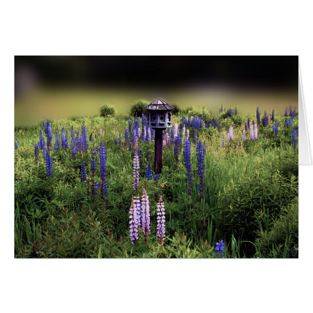 Birdhouse and Lupines (Front Horizontal)