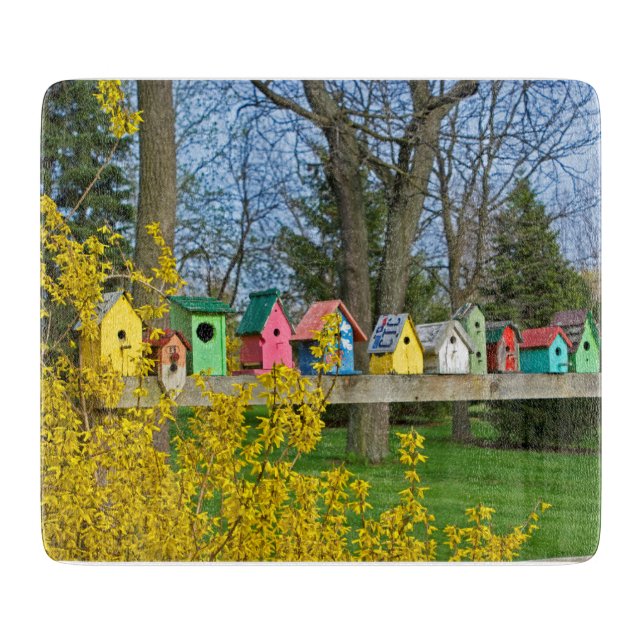 Birdhouse Boulevard  Cutting Board (Front)