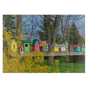 Birdhouse Boulevard  Cutting Board