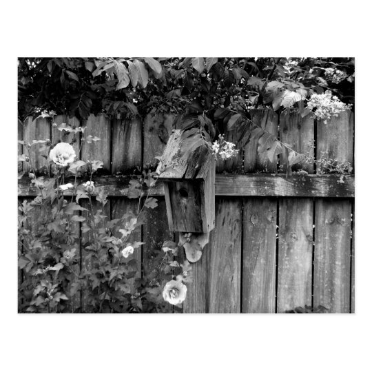 Birdhouse in Summer Postcard