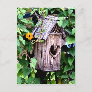Birdhouse Postcard