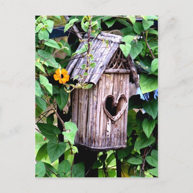 Birdhouse Postcard (Front)