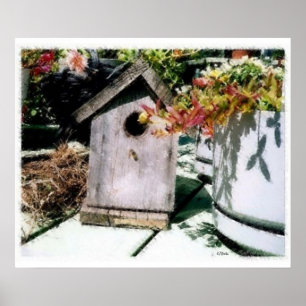Birdhouse Poster