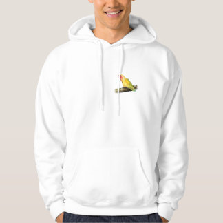 birdie2009nbg hoodie
