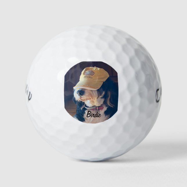 Birdie in a yellow golf hat golf balls (Front)