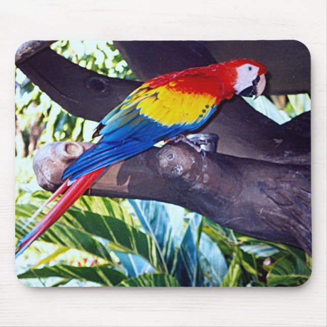 BIRDIE MOUSE MAT (Front)