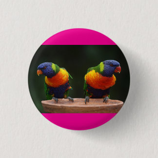 birdies cute  3 cm round badge