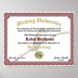 Birding Completion Diploma Certificate Award Poster