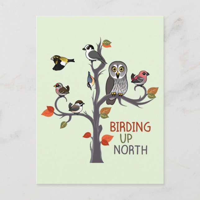 Birding Up North Postcard (Front)