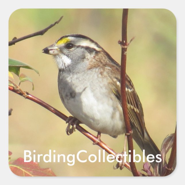 BirdingCollectibles Stickers (Front)