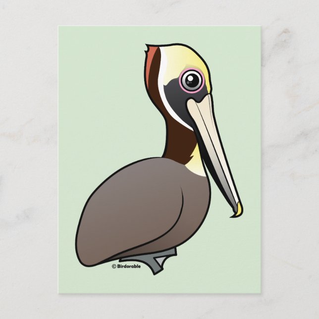 Birdorable Brown Pelican Postcard (Front)