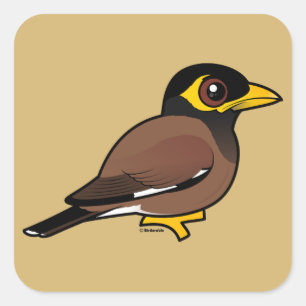 Birdorable Common Myna Square Sticker