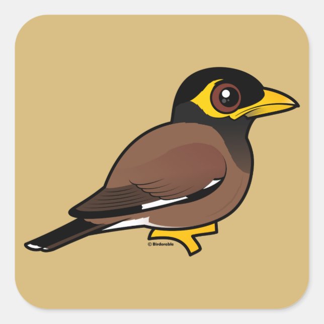 Birdorable Common Myna Square Sticker (Front)
