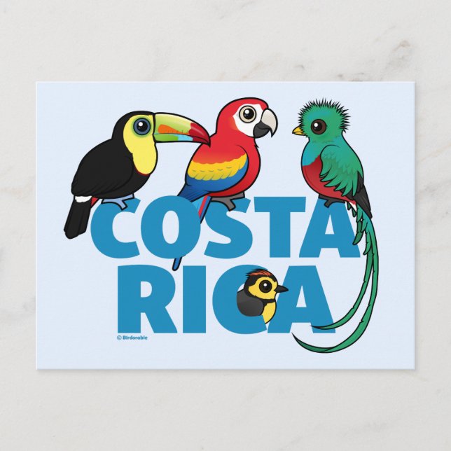Birdorable Costa Rica Postcard (Front)