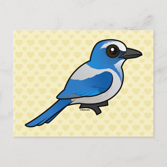Birdorable Florida Scrub-Jay Postcard (Front)