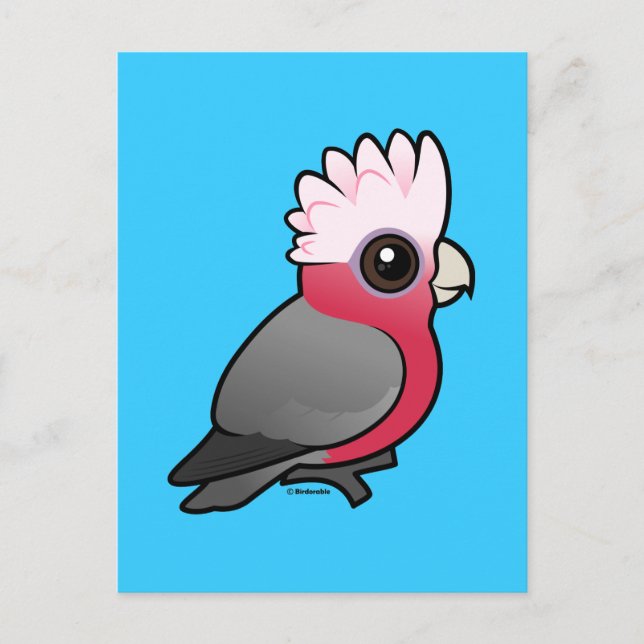 Birdorable Galah Postcard (Front)