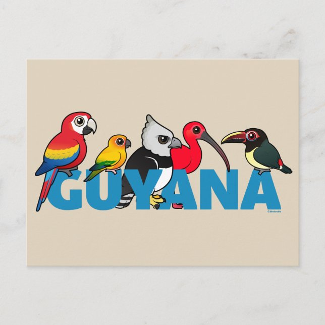 Birdorable Guyana Postcard (Front)