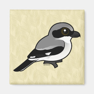 Birdorable Loggerhead Shrike Magnet
