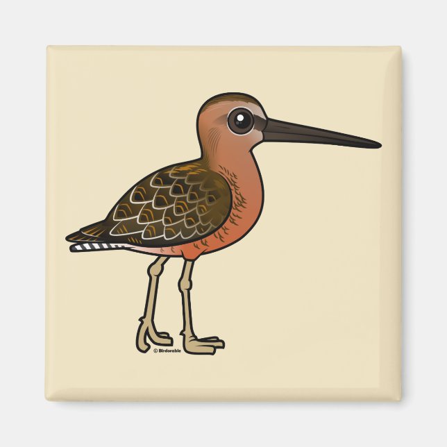 Birdorable Long-billed Dowitcher Magnet (Front)