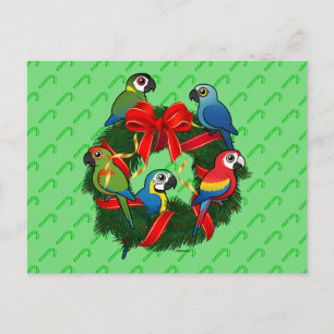 Birdorable Macaws Christmas Wreath Holiday Postcard