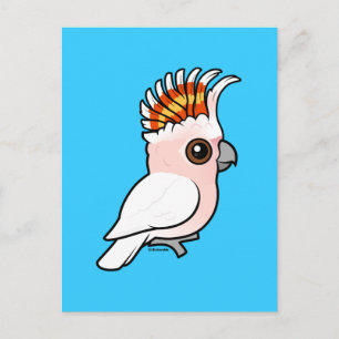 Birdorable Pink Cockatoo Postcard