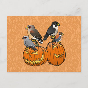 Birdorable Raptors on Pumpkins Postcard