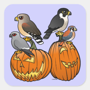 Birdorable Raptors on Pumpkins Square Sticker
