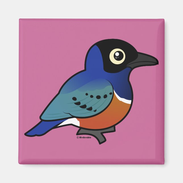 Birdorable Superb Starling Magnet (Front)