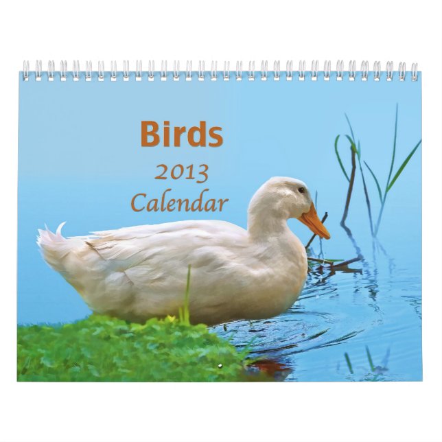 Birds 2013 Calendar (Cover)