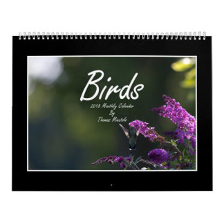 Birds 2018 Monthly Calendar By Thomas Minutolo