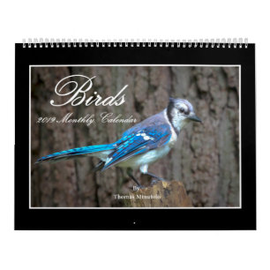 Birds 2019 Monthly Calendar By Thomas Minutolo